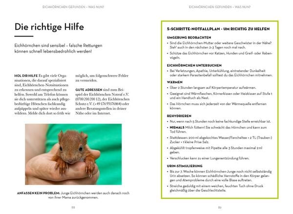 Produktbild: Mach was f&uuml;r Eichh&ouml;rnchen