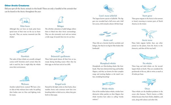 Produktbild: The Whale Who Swam Through Time