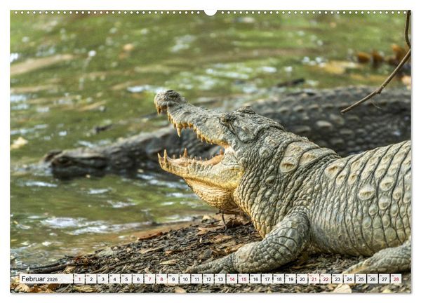 Produktbild: Westafrika - The Gambia (Wandkalender 2026 DIN A2 quer), CALVENDO Monatskalender