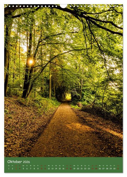 Produktbild: Ich bin dann mal im Wald (Wandkalender 2026 DIN A3 hoch), CALVENDO Monatskalender