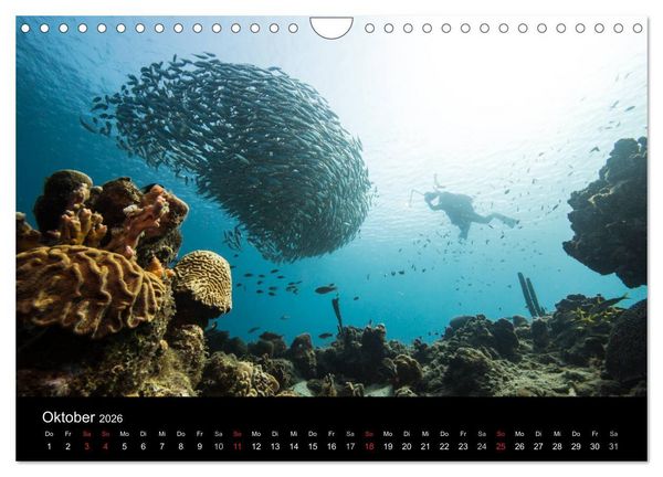 Produktbild: Tanz der Fische (Wandkalender 2026 DIN A4 quer), CALVENDO Monatskalender