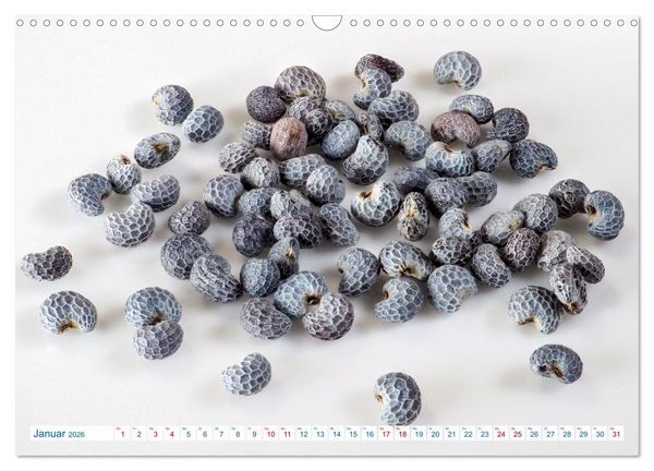 Produktbild: Wundersch&ouml;ne Kleinigkeiten (Wandkalender 2026 DIN A3 quer), CALVENDO Monatskalender