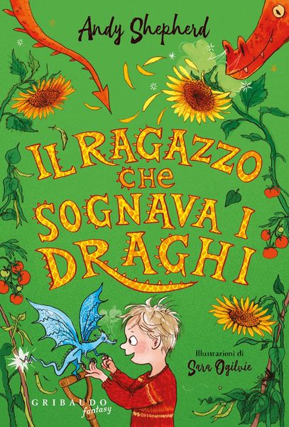 Produktbild: Il ragazzo che sognava i draghi
