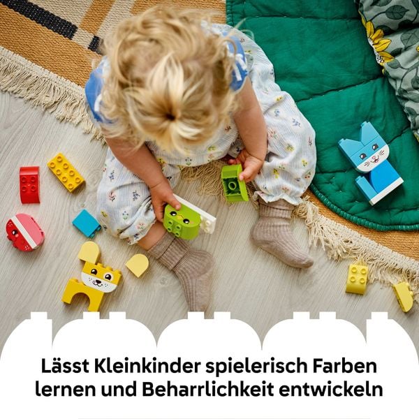Produktbild: LEGO DUPLO 10477 3-in-1 Kreative Tiere, Spielzeug f&uuml;r Kinder ab 1 Jahr
