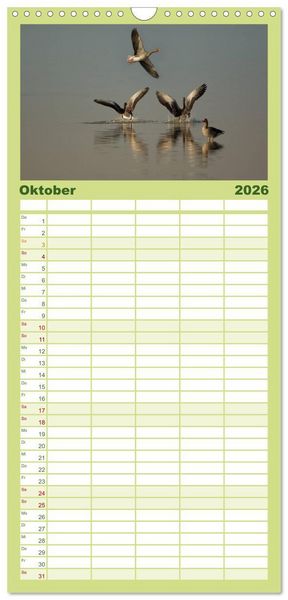 Produktbild: Familienplaner 2026 - Das faszinierende Reich der V&ouml;gel mit 5 Spalten (Wandkalender, 21 x 45 cm) CALVENDO