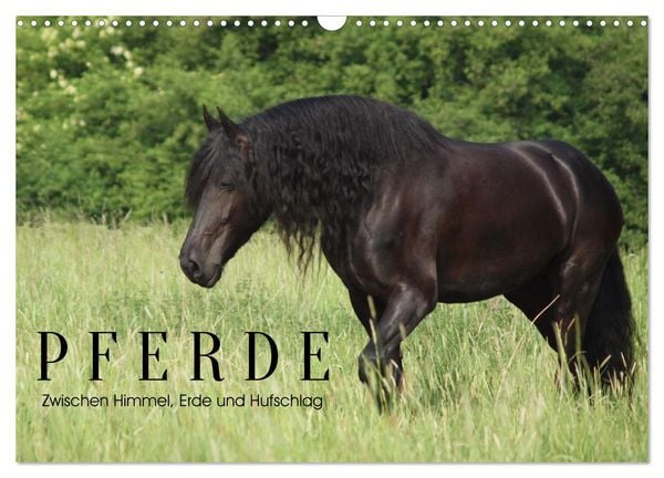 Produktbild: PFERDE - Zwischen Himmel, Erde und Hufschlag (Wandkalender 2027 DIN A3 quer), CALVENDO Monatskalender