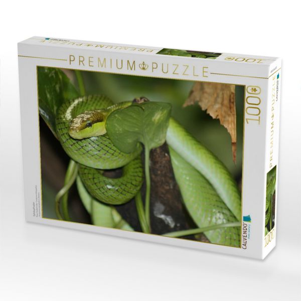 Produktbild: CALVENDO Puzzle Spitzkopfnatter | 1000 Teile Lege-Gr&ouml;&szlig;e 64x48cm Foto-Puzzle f&uuml;r gl&uuml;ckliche Stunden