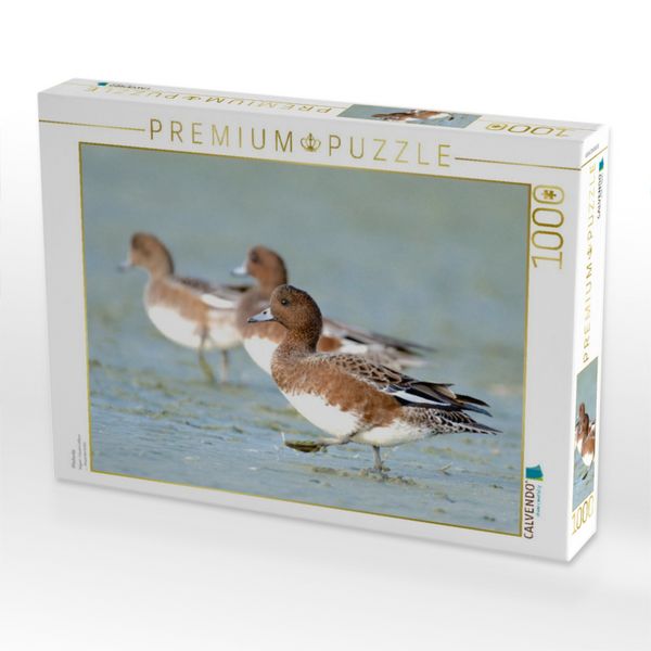 Produktbild: CALVENDO Puzzle Pfeifente | 1000 Teile Lege-Gr&ouml;&szlig;e 64x48cm Foto-Puzzle f&uuml;r gl&uuml;ckliche Stunden