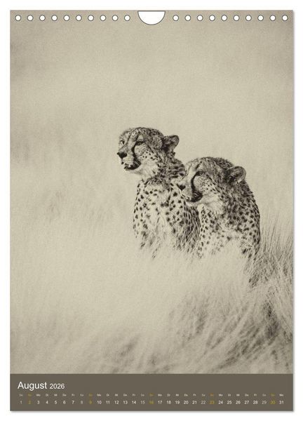 Produktbild: Afrikas Tierwelt - Sepia-Art (Wandkalender 2026 DIN A4 hoch), CALVENDO Monatskalender