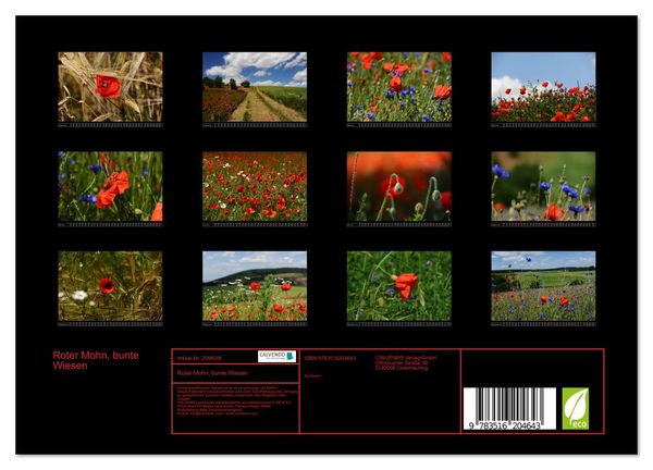 Produktbild: Roter Mohn, bunte Wiesen (Wandkalender 2026 DIN A4 quer), CALVENDO Monatskalender