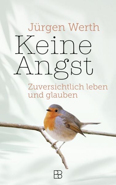 Keine Angst, Gebundene Ausgabe von Jürgen Werth, Bonifatius Verlag, 978-3-9879008-9-1