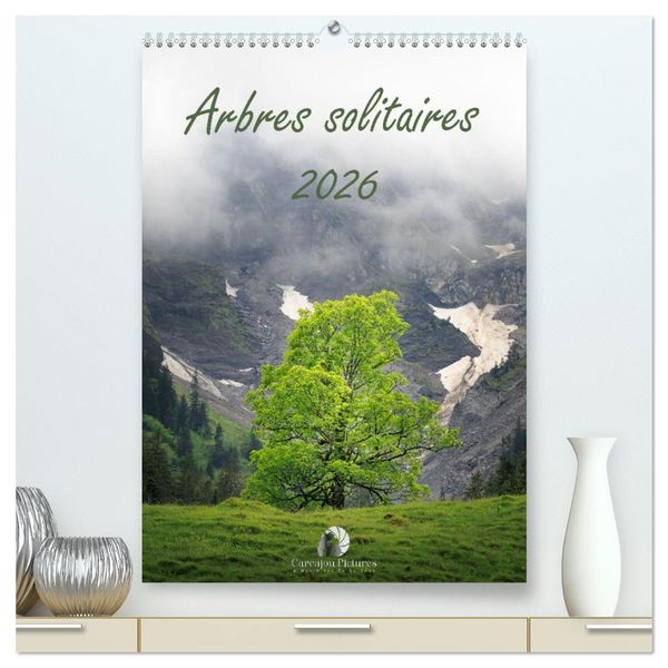 Produktbild: Arbres solitaires (Calendrier mural 2026 DIN A2 horizontal) calendrier de bureau