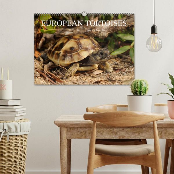 Produktbild: European Tortoises / UK-Version (Wall Calendar 2026 DIN A3 landscape), CALVENDO 12 Month Wall Calendar