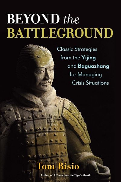 Produktbild: Beyond the Battleground