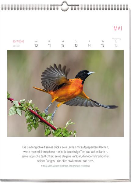 Produktbild: Literarischer Vogel Kalender 2027