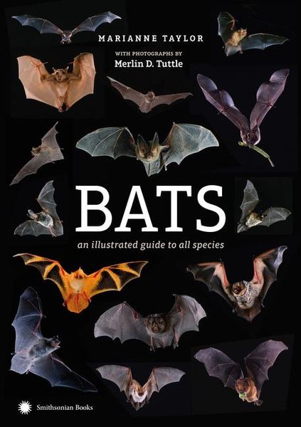 Produktbild: Bats