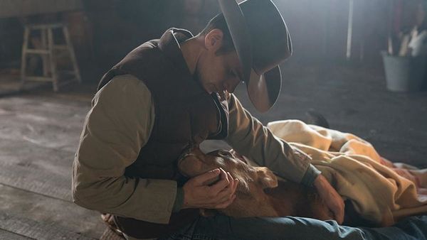 Produktbild: Heartland - Paradies f&uuml;r Pferde - Staffel 11.2 [3 DVDs]