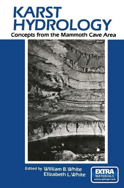Produktbild: Karst Hydrology