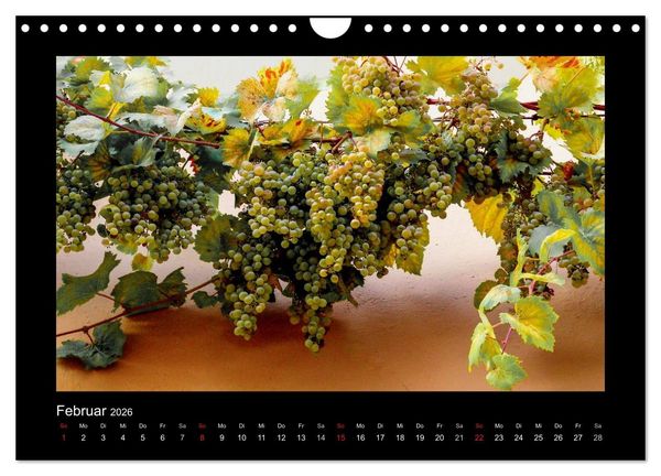 Produktbild: Wein - Reben, Wingerte und historische Weinkeller (Wandkalender 2026 DIN A4 quer), CALVENDO Monatskalender