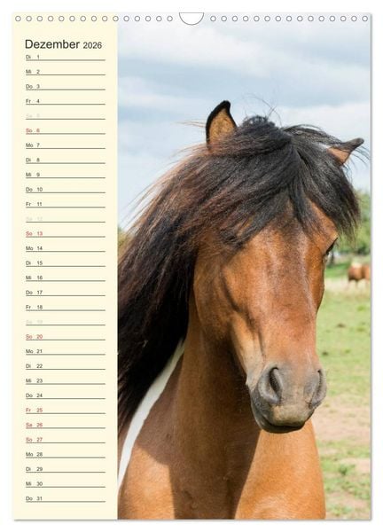 Produktbild: Islandpferde Geburtstagskalender (Wandkalender 2026 DIN A3 hoch), CALVENDO Monatskalender
