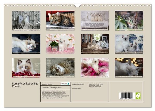 Produktbild: Samtpfoten Lebendige Poesie (Wandkalender 2026 DIN A3 quer), CALVENDO Monatskalender