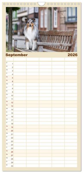 Produktbild: Familienplaner 2026 - Hunde in der City - Unterwegs in Hamburg mit 5 Spalten (Wandkalender, 21 x 45 cm) CALVENDO