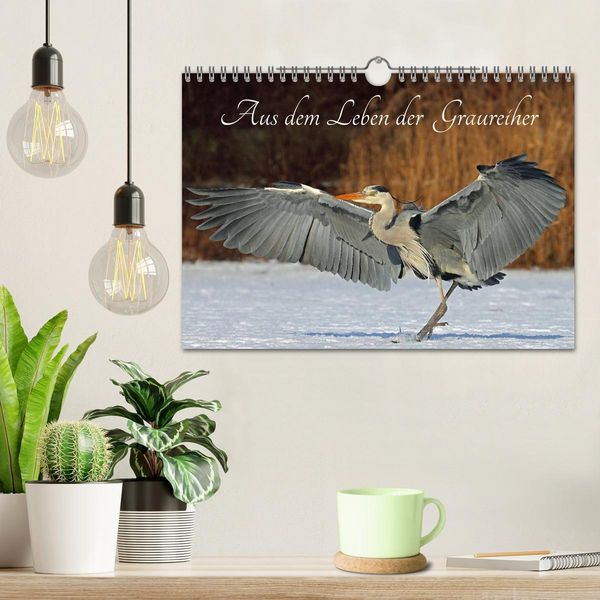 Produktbild: Aus dem Leben der Graureiher (Wandkalender 2026 DIN A4 quer), CALVENDO Monatskalender