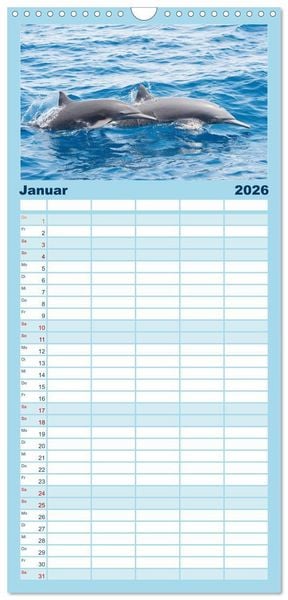 Produktbild: Familienplaner 2026 - Delfine: Elegante Wellenreiter mit 5 Spalten (Wandkalender, 21 x 45 cm) CALVENDO