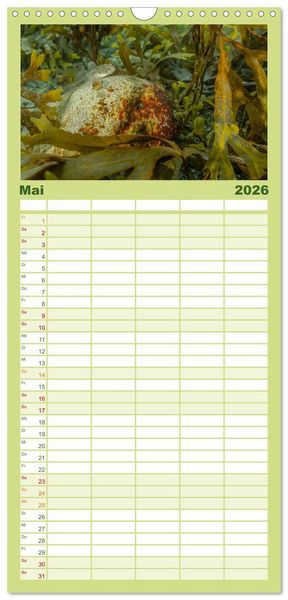 Produktbild: Familienplaner 2026 - Unter Wasser rund um Fehmarn mit 5 Spalten (Wandkalender, 21 x 45 cm) CALVENDO