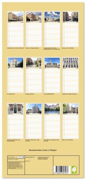 Produktbild: Familienplaner 2026 - Bezauberndes L&ouml;wen in Belgien mit 5 Spalten (Wandkalender, 21 x 45 cm) CALVENDO