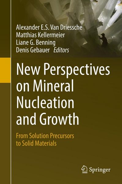 Produktbild: New Perspectives on Mineral Nucleation and Growth