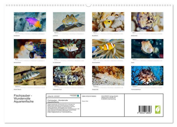 Produktbild: Fischzauber - Wundervolle Aquarienfische (hochwertiger Premium Wandkalender 2026 DIN A2 quer), Kunstdruck in Hochglanz