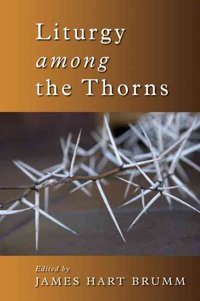Produktbild: Liturgy Among the Thorns: Essays on Worship in the Reformed Church in America