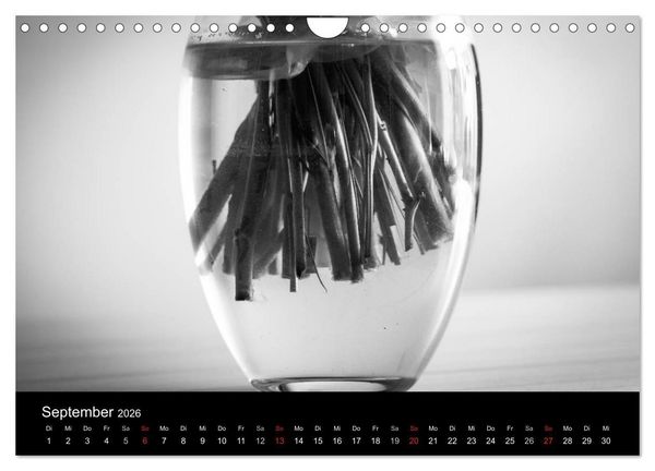 Produktbild: Monochrom 2026 (Wandkalender 2026 DIN A4 quer), CALVENDO Monatskalender