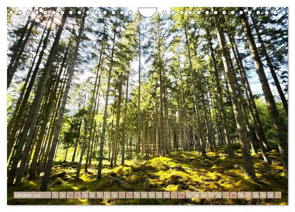 Produktbild: Schweden im Sommer (Wandkalender 2026 DIN A4 quer), CALVENDO Monatskalender