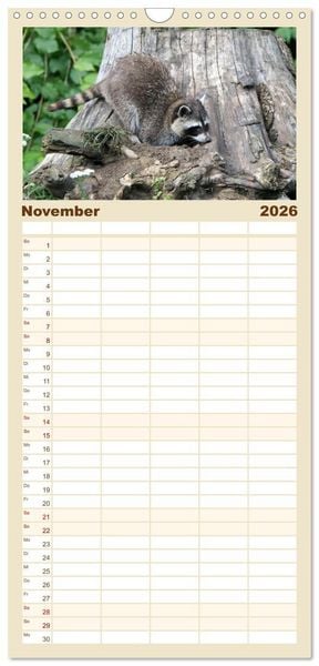 Produktbild: Familienplaner 2026 - Waschb&auml;ren mit 5 Spalten (Wandkalender, 21 x 45 cm) CALVENDO