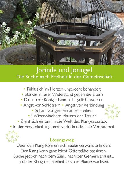 Produktbild: Ahnenmedizin und Seelenhom&ouml;opathie - Kartenset Mikrokosmos