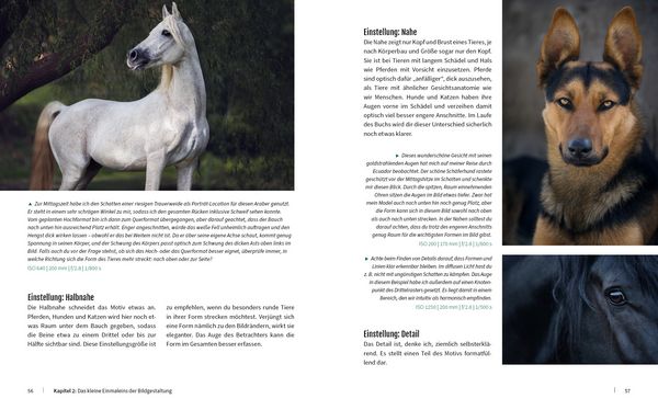 Produktbild: Haustiere perfekt fotografieren
