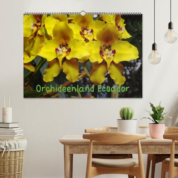 Produktbild: Orchideenland Ecuador (Wandkalender 2026 DIN A2 quer), CALVENDO Monatskalender