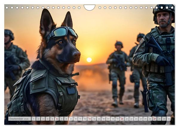 Produktbild: Sch&auml;ferhund 24/7 - Keine Pause f&uuml;r echte Helden (Wandkalender 2026 DIN A4 quer), CALVENDO Monatskalender