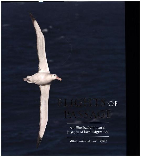 Produktbild: Flights of Passage
