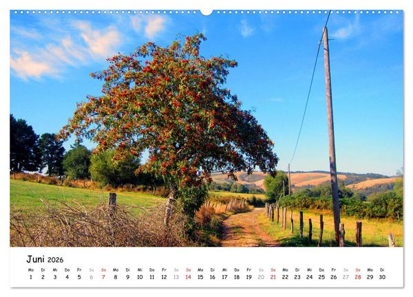 Produktbild: Jakobsweg - Camino Primitivo (Wandkalender 2026 DIN A2 quer), CALVENDO Monatskalender