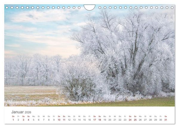 Produktbild: Spreewald - Ein Naturparadies (Wandkalender 2026 DIN A4 quer), CALVENDO Monatskalender