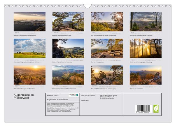 Produktbild: Augenblicke im Pf&auml;lzerwald (Wandkalender 2026 DIN A3 quer), CALVENDO Monatskalender
