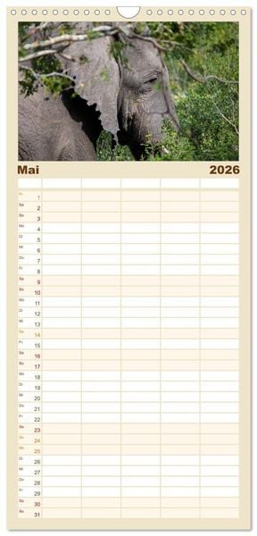 Produktbild: Familienplaner 2026 - begegnungen - elefanten im s&uuml;dlichen afrika mit 5 Spalten (Wandkalender, 21 x 45 cm) CALVENDO