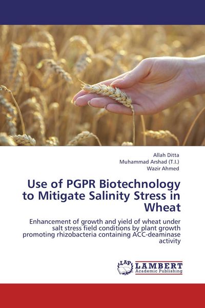 Produktbild: Use of PGPR Biotechnology to Mitigate Salinity Stress in Wheat