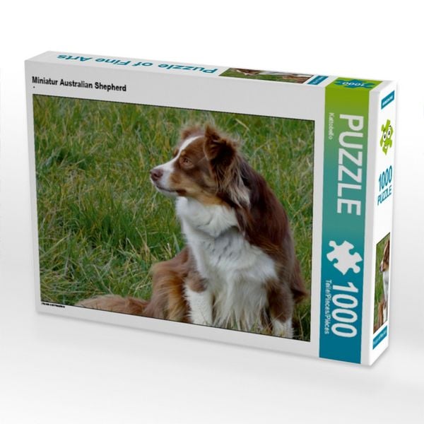 Produktbild: CALVENDO Puzzle Miniatur Australian Shepherd | 1000 Teile Lege-Gr&ouml;&szlig;e 64x48cm Foto-Puzzle f&uuml;r gl&uuml;ckliche Stunden