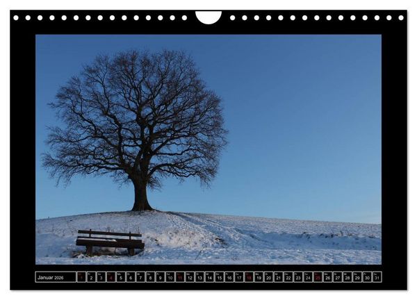 Produktbild: Odenwald - Landschaft sehen (Wandkalender 2026 DIN A4 quer), CALVENDO Monatskalender