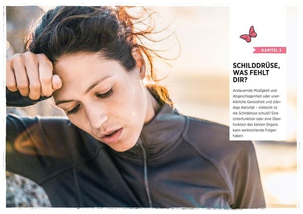 Produktbild: Power f&uuml;r die Schilddr&uuml;se - Alles f&uuml;r einen gesunden Hormonhaushalt. Mit Praxistipps bei &Uuml;berfunktion, Unterfunktion und Hashimoto