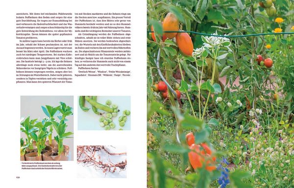 Produktbild: Tomatengl&uuml;ck